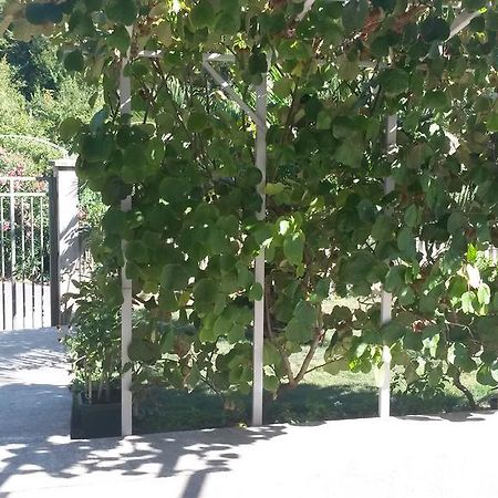Apartment Villa Dobrijevic -Seljanovo تيفات المظهر الخارجي الصورة